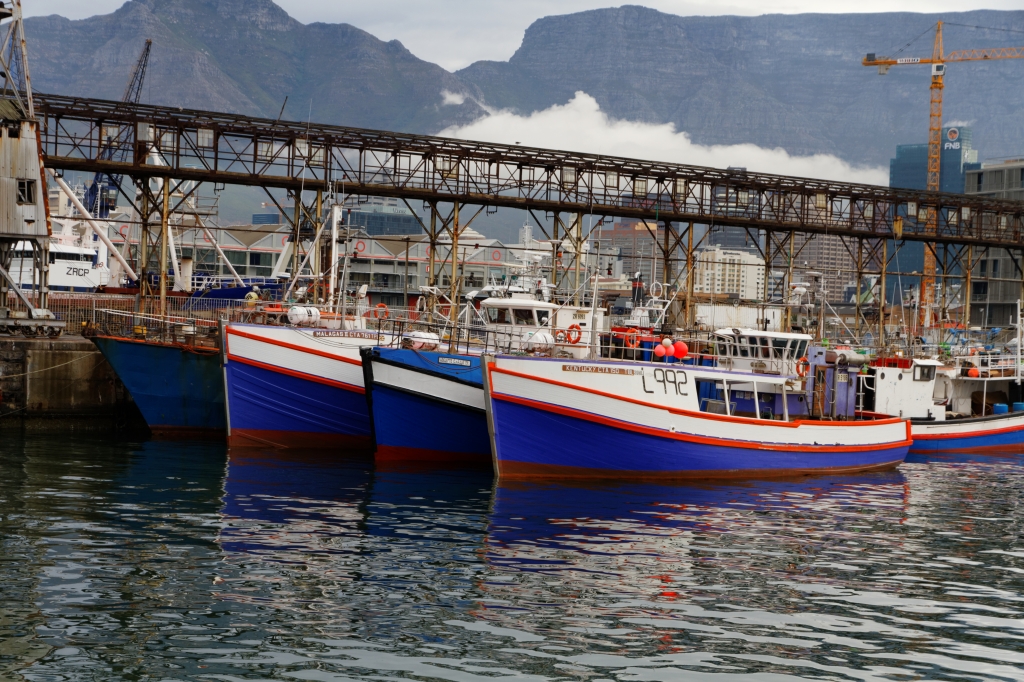 00 - Le Cap (16).jpg